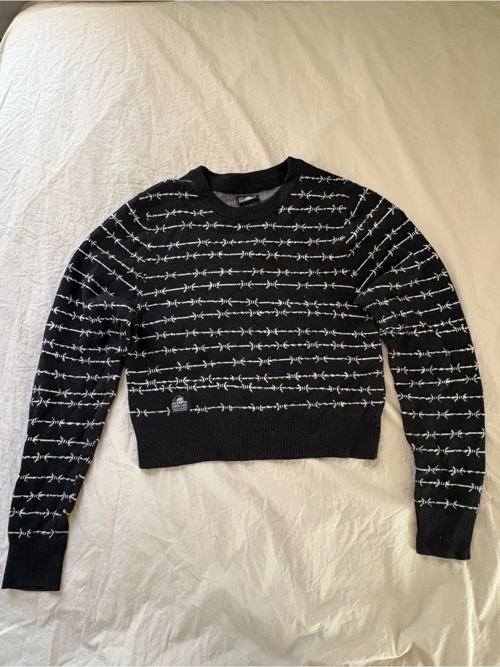 Lurking Class Cropped Crewneck Barbed-Wire Sweater